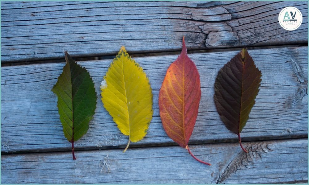 People Change Quotes in English: 250 Quotes and Captions